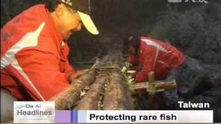 DaAiTV DaAi Headlines 20110418 Indigenous tribe protects salmon