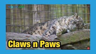 Claws n Paws Animal Park in the Poconos (2020)