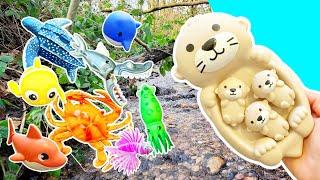 Learn Sea Animal Names & Facts for Babies Kids at the Woodland Stream: Sea Otter Ray Lion Fish Shark