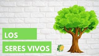 LOS SERES VIVOS  Características en común - Resumen para niños