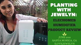 Planting with Jewelyn: Elechomes Humidifier Product Review | June 2020 | ILOVEJEWELYN