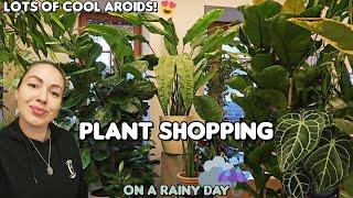 Alocasia shopping! So many rare and large plants in this store Sneaky office vlog ️