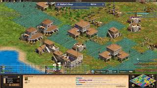 AoE2 - WololoKingdoms Teamgame! Game 3