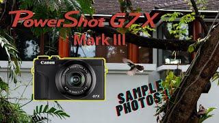 Canon G7X Mark III Photo Review (2023) | Watch Before You Buy