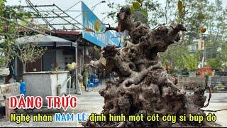 Quảng Tùng| Nghệ nhân NAM LÊ định hình cốt cây si búp đỏ dáng trực