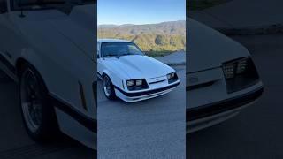 FoxBody! First mountain drive! #touge #foxbody #ford #mustang  #mountaindrive #shesback