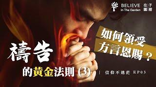 我是怎麼從敵擋方言到領受方言｜如何領受方言恩賜｜淺談福音派 vs 靈恩派中的方言禱告｜禱告的黃金法則 Part 3｜信仰不迷茫 EP03