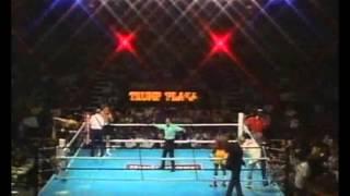 Jeff Harding v Dennis Andries I 24 June 1989 Atlantic City, New Jersey, USA