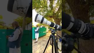 150-600 mm lens photography  #shorts #photography #ytshorts