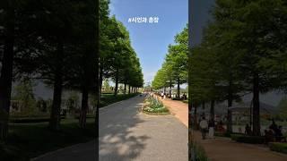 #시인과촌장 #풍경 #7080 #music #shorts