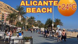 Alicante Beach: 24ºC Sunny Walk! ️ #benidormbyana