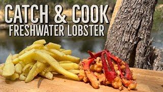 Catch And Cook Southern Fried Lobster (Marron , Crawfish, Crawdad , Crayfish)