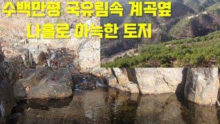 수백만평 국유림속 계곡옆 토지 #삼척부동산 #삼척땅