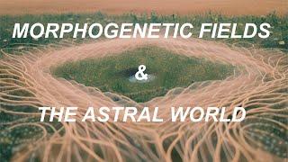 Morphogenetic Fields & The Astral World