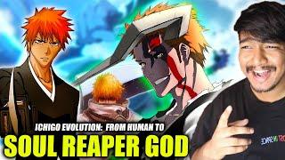 The Evolution of Ichigo Kurosaki: From Human to Soul Reaper God (Hindi)