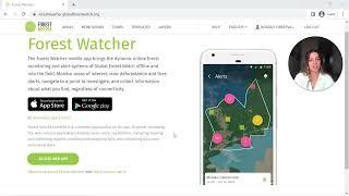 Forest Watcher Webinar Team Management Demo