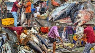 बडी मछली का बाजार |Big Fish Market CST Mumbai