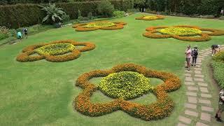 Scenes of the Azores: Terra Nostra Garden, Furnas