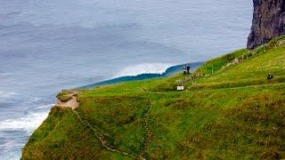 Local Style - Surf Ireland