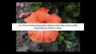 vertical garden solutions | vertical gardening | diy vertical gardening | ideas | how to