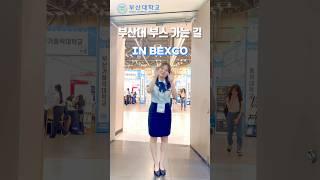 [부산대학교 입학알림단] 부산대학교 부산 벡스코, 경북 하이코 박람회 활동 스케치