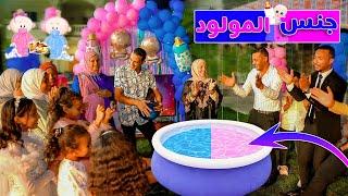 حفلة جنس المولودبحمام السباحةBiggest Gender Reveal Ever