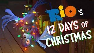 Rio's 12 Days Of Christmas!