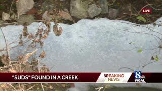 Unexplained foam in creek kills fish, heads for Susquehanna