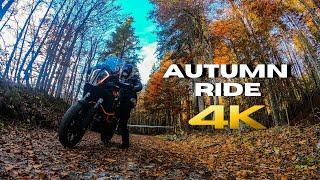 Autumn Rides are AWESOME - 4K