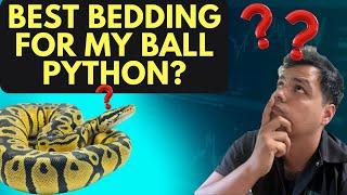 WHATS THE BEST BEDDING FOR YOUR BALL PYTHON