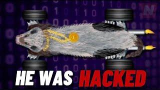 THE WAMPUS WAS HACKED…