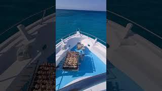 Crystal Waters & Coastal Charm: Lachi Blue Lagoon Yacht Experience