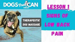 #7 How to Massage Your Dog with Low Back Pain: Lesson 1 of 3 + Bonus Gift!