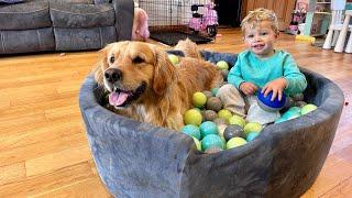 Adorable Baby Boy Plays With Crazy Golden Retriever Energy! (So Cute!!)