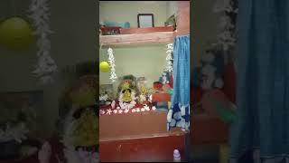 gopu life style ll.   Jay shree krishna #viral #shortvideo