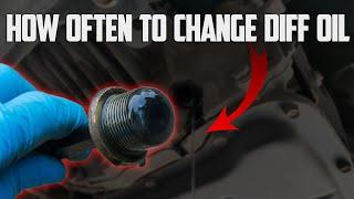 How Often to Change Differential Fluid: Rear, Front & Replacement Cost