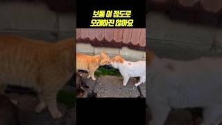 보통 이정도로 오래 하진 않아요
