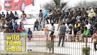 Mad rush to watch thrilling Indian Rural Olympic stunts