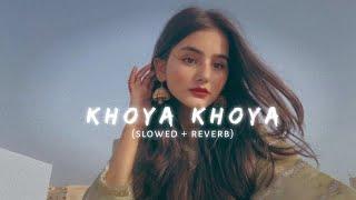 Chilling Vibes: Khoya Khoya - Mohit Chauhan (Hero)