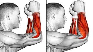 Top 10 Forearm Exercises for Stronger Arms Using Dumbbells | Grip Strength Exercises