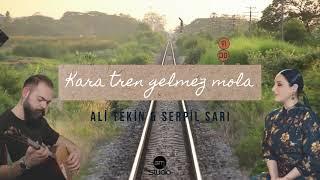 ALİ TEKİN & SERPİL SARI - Kara Tren Gelmez Mola