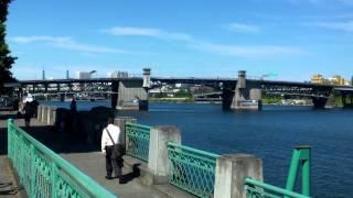 Scanning Portland From Tom McCall Water Front Park