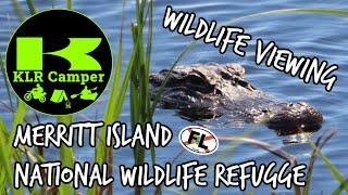 Visiting Merritt Island National Wildlife Refuge