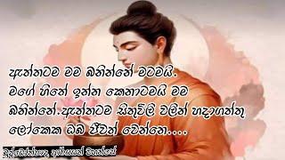 ජීවිතය කියන්නේ තනිකරම මුලාවක්        බුද්ධෝත්පාද ආර්යයන් වහන්සේ වහන්සේ