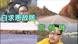 加拿大枫叶也太美了吧？秋季赏枫+白求恩故居,陶醉了！#Bethune#白求恩故居#赏枫#慕斯科卡#muskoka