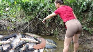 Video Fishing: Fishing Exciting, Unique Way to Catch Fish, Fishing Technique Catch a Lot Of Fish