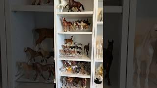 Organizing my Stablemate shelves‍ #breyerhorses #breyer #horse #modelhorse #collection