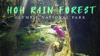 Hoh Rainforest: Olympic National Park