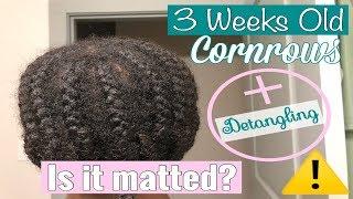 3 WEEK OLD Cornrows + How to Detangle | Hair Matting? | STARRING LIA