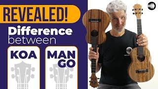 REVEALED! This is the difference between Ukuleles made with KOA WOOD and MANGO WOOD!